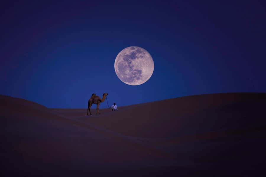 Qatar: Night Desert Safari| Camel Ride| Inland Sea Beach - The Inland Sea Beach is the main event