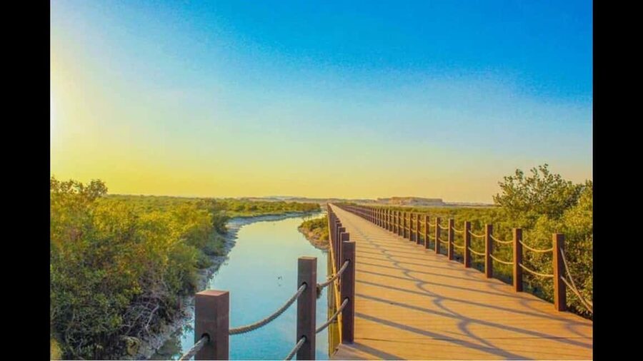 Qatar:North Tour, Purple island, zubara Fort, Jumail village - The long transfer to Al Zubara