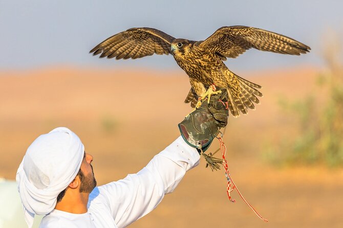 Qatar: Sunrise or Sunset Desert Tour in Doha, unforgettable trip - What the $87.50 price really covers