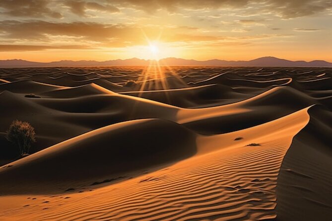 Qatar: Sunrise or Sunset Desert Tour in Doha, unforgettable trip - Who should book this Doha desert outing