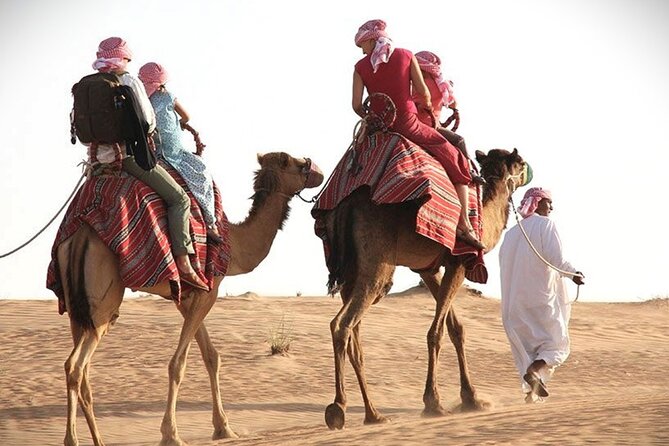 Qatar Sunset Desert Safari: Dune Bashing & Golden Sands Adventure - The camel camp is a brief taste of desert life