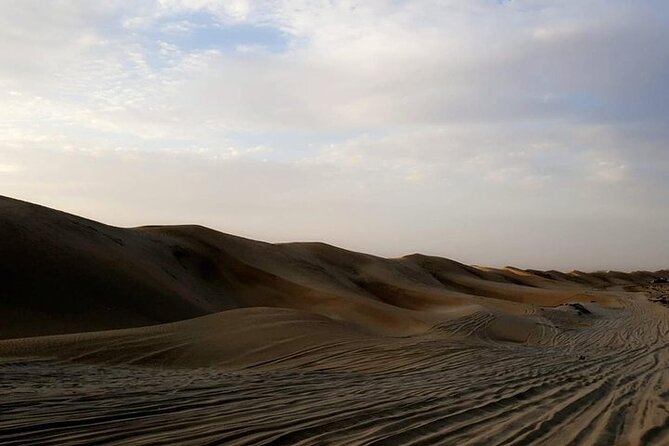 Qatar Sunset Desert Safari: Dune Bashing & Golden Sands Adventure - Who will enjoy this safari most