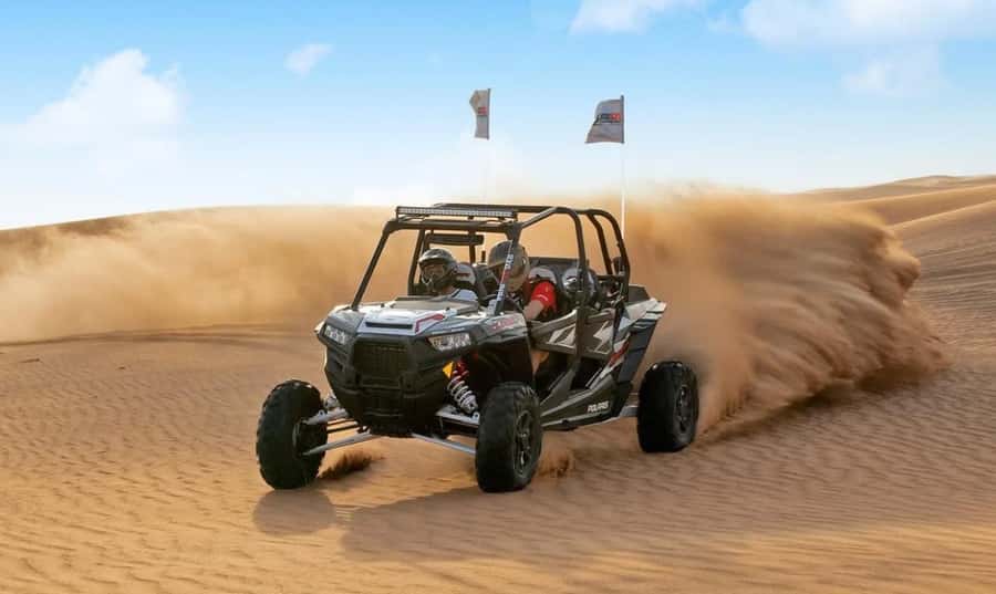 Qatar: Sunset Desert Safari with Camel Ride & Sandboarding - Sealine: camels, sand, and a first photo stop
