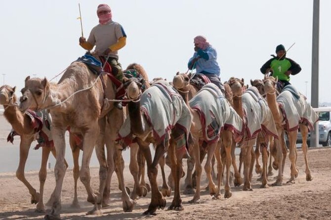 Qatar West Coast Zkreet Richard Sierra Camel Track Rock Formation - From Doha to Qatar’s camel-racing country