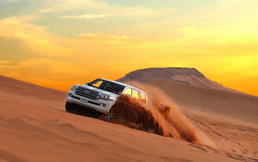Quad Bike/Buggy, Desert Safari, Camel Ride, Dune Bashing - Key things to know before you book