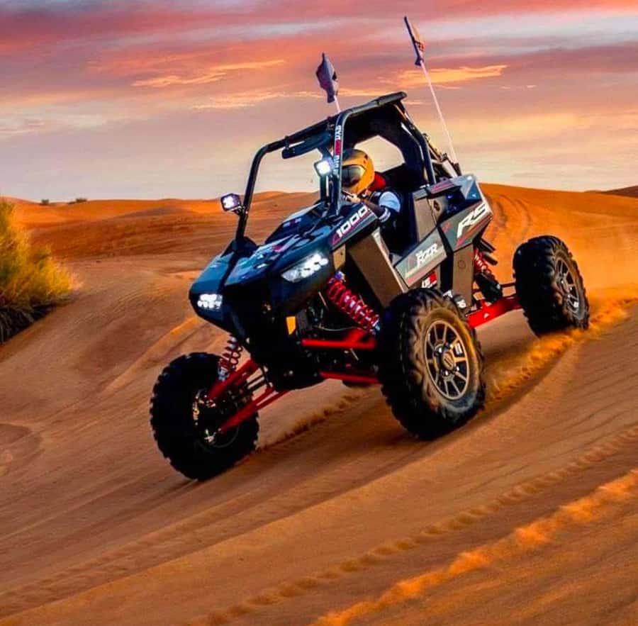 Quad Bike/Buggy, Desert Safari, Camel Ride, Dune Bashing - A short camel ride with cultural context