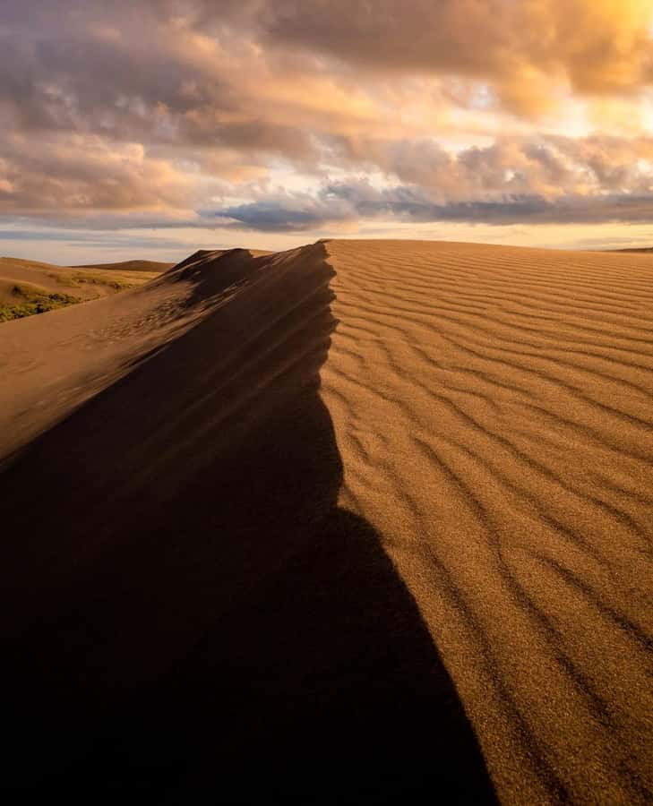 Relax Inland Sea Tour, Desert Safari, Camel Ride, SandBoard - Key points to know before you book