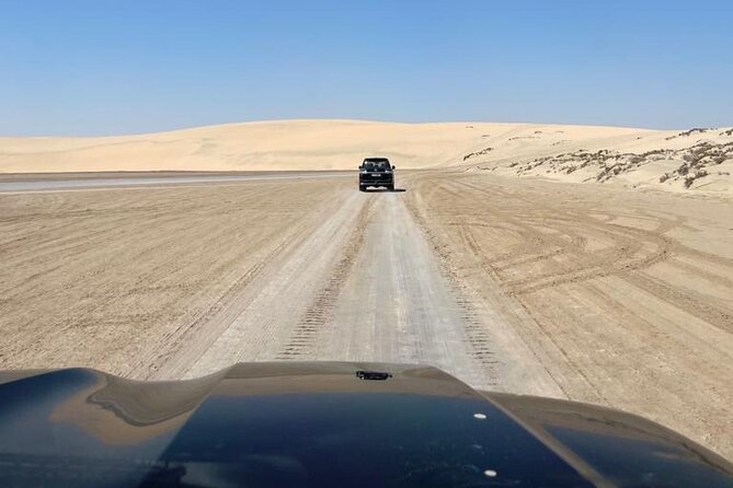 Sand Dunes per car Half-Day Tour | Desert Safari - What happens at the Sealine sand dunes