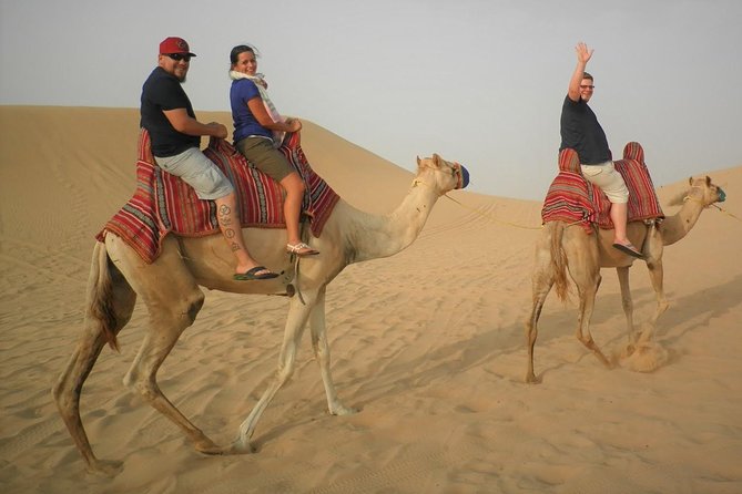 Sharing or Private Safari, Sand Boarding, Camel Ride, inland Sea Quick swim - Leaving Doha for Mesaieed and Sealine Beach