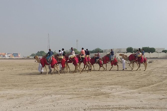 Sharing or Private Safari, Sand Boarding, Camel Ride, inland Sea Quick swim - Camel riding, kept short and simple