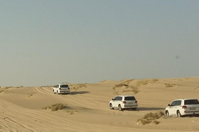 Sharing or Private Safari, Sand Boarding, Camel Ride, inland Sea Quick swim - Dune bashing with a small 4x4 group