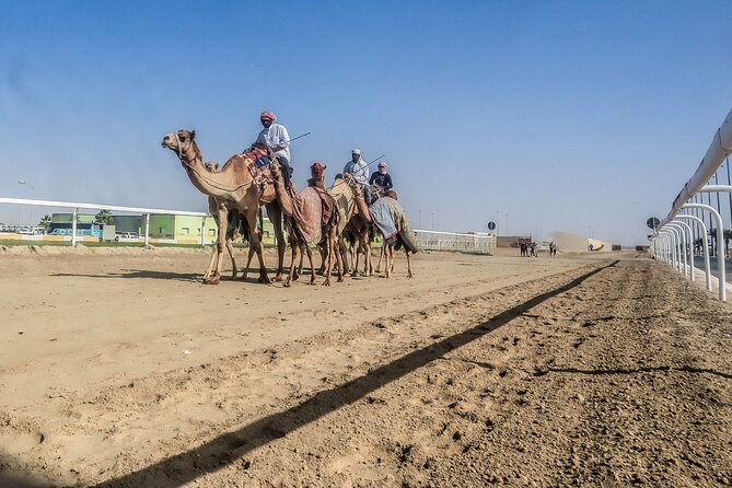 Sheikh Faisal, Camel Race Track visit - How to protect the full itinerary