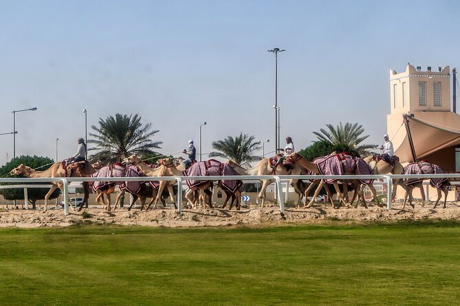 Sheikh Faisal, Camel Race Track visit - At the camel race track, technology meets tradition