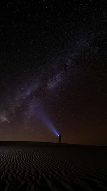 Star Studded Night Desert Safari Doha Qatar - Practical points before you book
