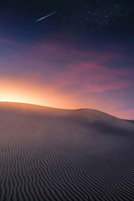 Star Studded Night Desert Safari Doha Qatar - Camel riding and traditional tea