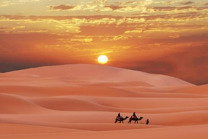 Sunrise or Sunset , Desert Safari Tour in Heart of Qatar - Key points at a glance
