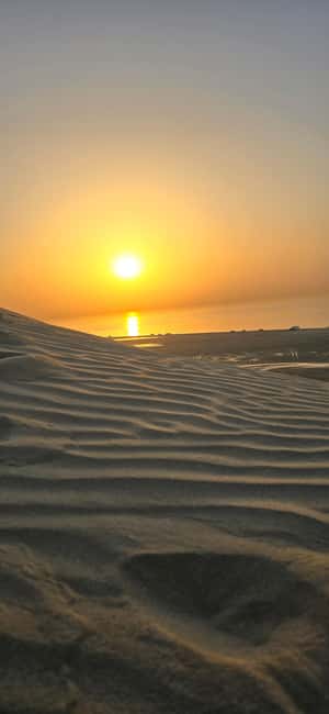 Sunrise or Sunset desert Safari with Sandboarding in Qatar - Dune bashing with Ali or another experienced driver