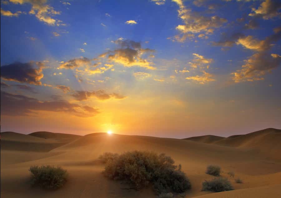 Sunrise : Privare Dune Bashing, Camel Ride & Sandboarding - Why the sunrise timing matters