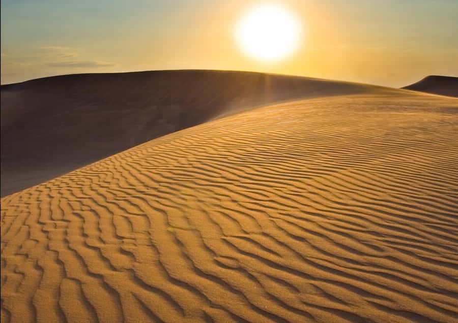 Sunrise : Privare Dune Bashing, Camel Ride & Sandboarding - The Inland Sea where sand meets water