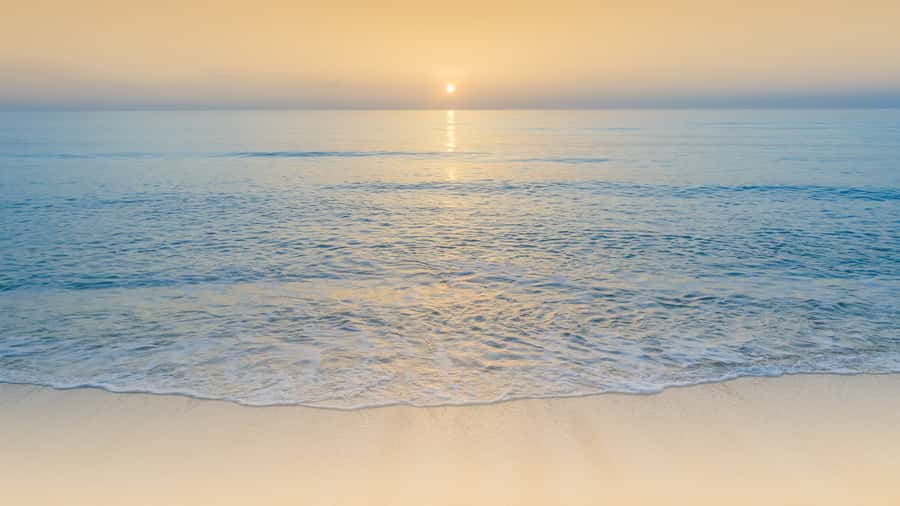 Sunrise : Privare Dune Bashing, Camel Ride & Sandboarding - Is $30 good value?