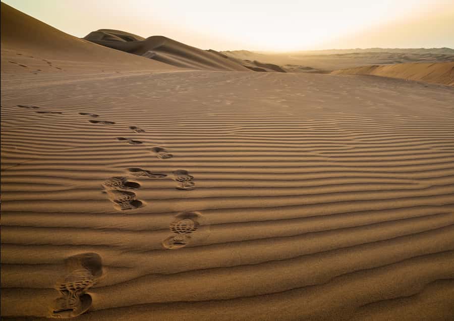 Sunrise : Privare Dune Bashing, Camel Ride & Sandboarding - Safety, comfort, and who should book