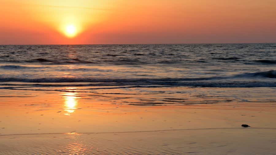Sunrise : Privare Dune Bashing, Camel Ride & Sandboarding - What to bring and how to prepare