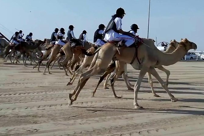 Sunset Keshta at Zekreet | Art, Adventure & Arabian Picnic - Key points at a glance