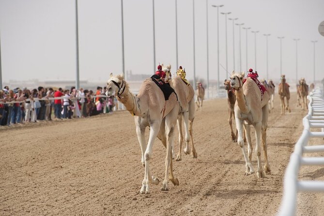 Sunset Keshta at Zekreet | Art, Adventure & Arabian Picnic - The guides can shape the quality of the visit