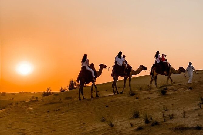 Thrilling 4-Hour Dune Bashing & Camel Ride Safari to Inland Sea - A short camel ride at Sealine Beach