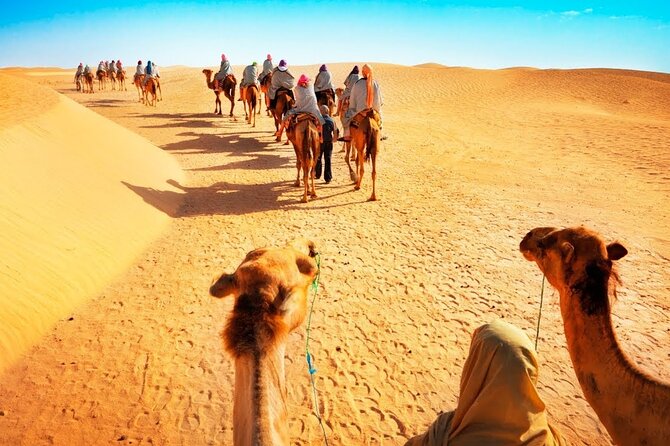 Tranquil Sands A Serene Desert Safari Experience - What the $85 Price Buys You