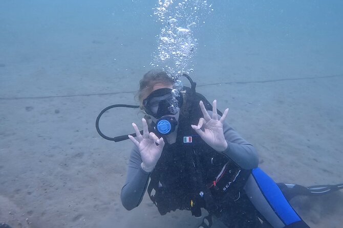 Try Scuba dive in Qatar - Underwater photography and the official certificate