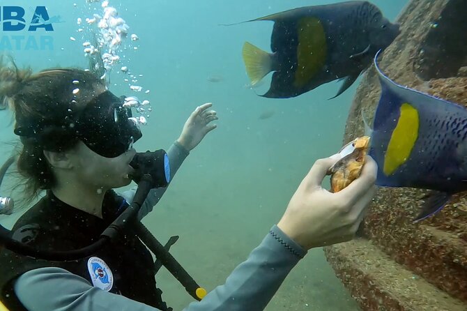 Try Scuba dive in Qatar - Why the small group size matters