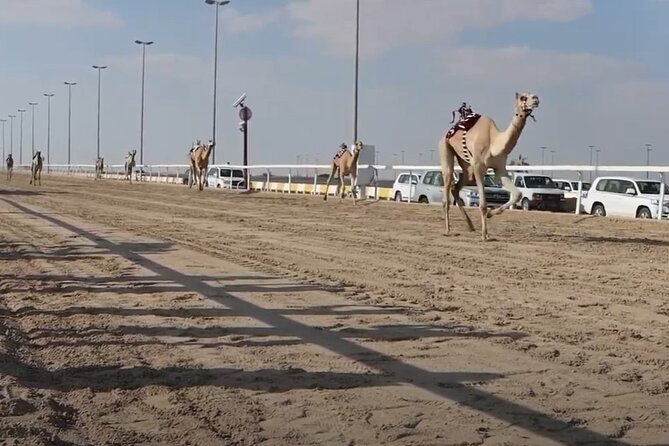 West Of Qatar, Mushroom Rocks, Camel Racing Track, Richard Serra - Mushroom Rocks and the strange shapes of the desert