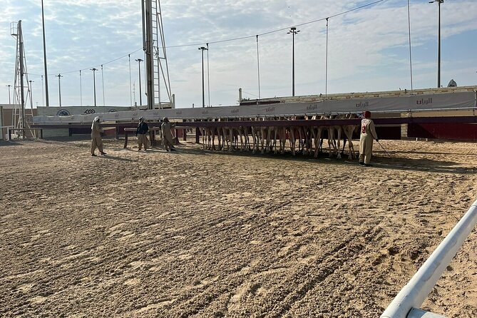 West Of Qatar, Mushroom Rocks, Camel Racing Track, Richard Serra - Is $66 a fair price?