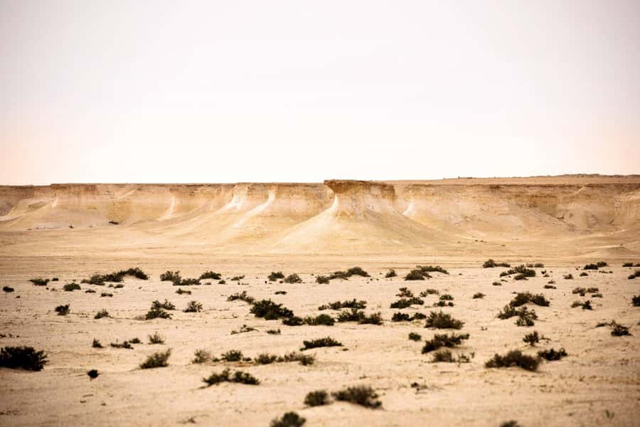 West of Qatar Richard Serra, Mushroom Hills, CamelRace track - Is $49 good value?