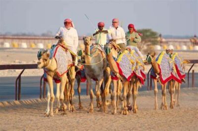 West Qatar-Doha Richard sierra,camel race,mushroom rock